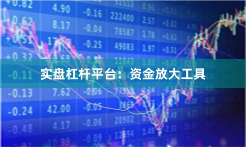 实盘杠杆平台：资金放大工具